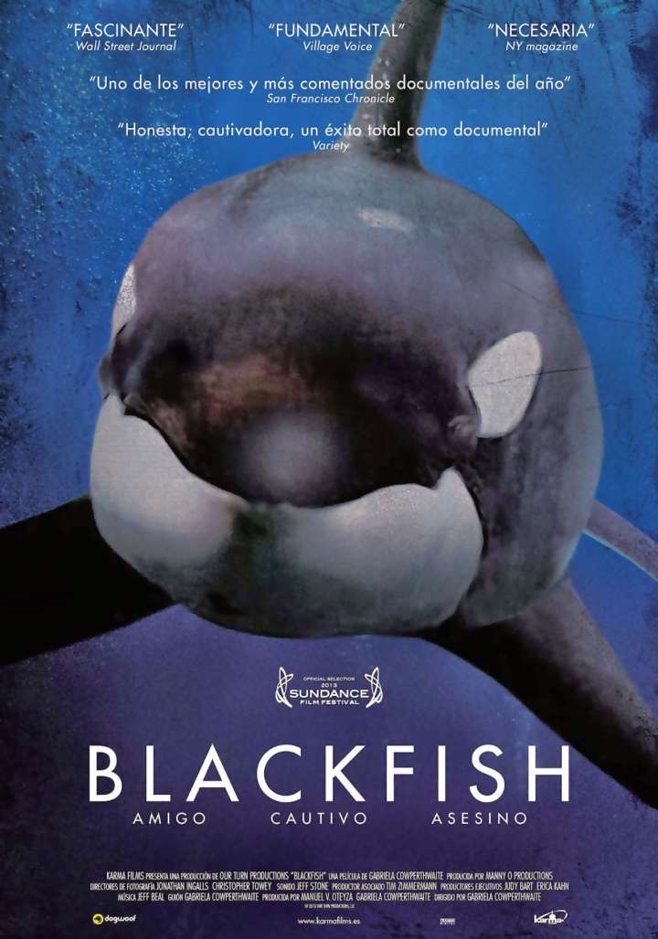 Blackfish movie poster