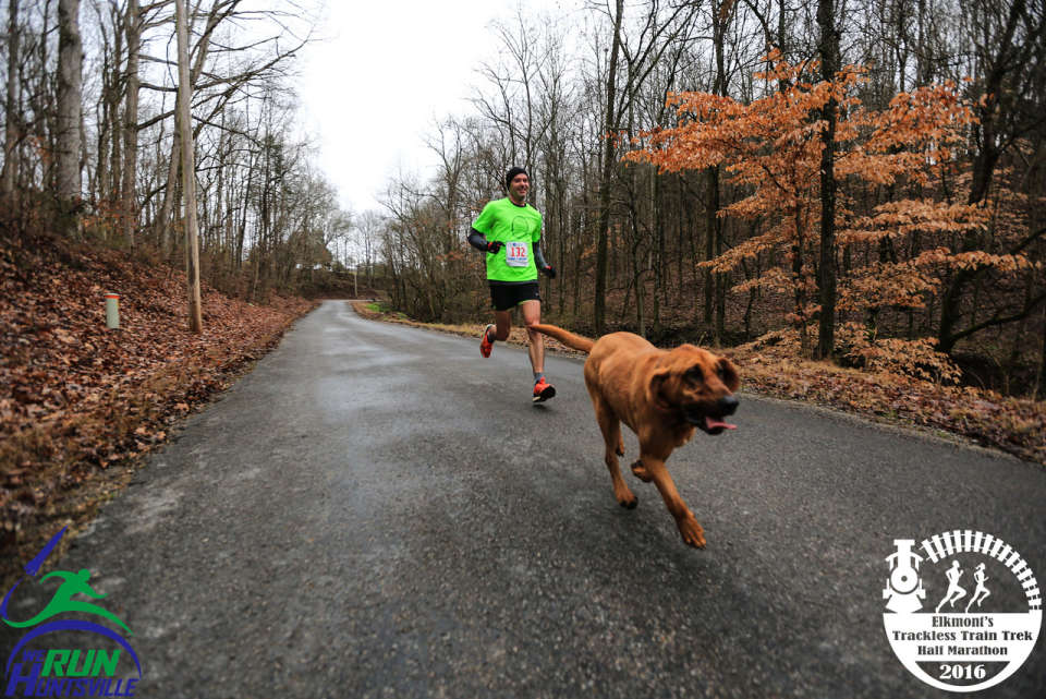 Bloodhound runs 2016 Elkmont Trackless Train Trek Half Marathon