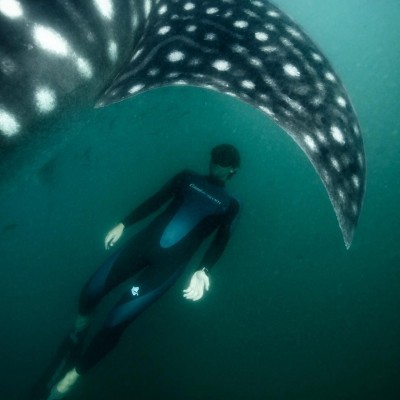 Freediving with Guillaume Néry