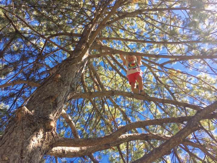 Gavin MacCall builds a Ninja Warrior obstacle course for his daughter Lylah