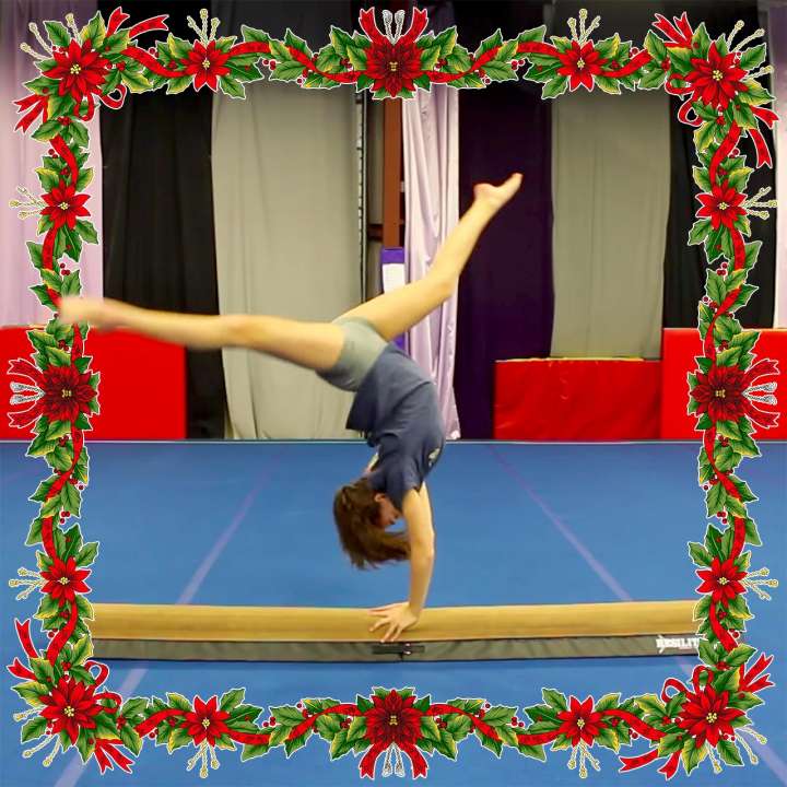 Gymnast gift idea: Low Beam by Resilite