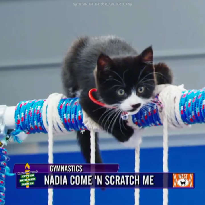 Hallmark Channel's 'Kitten Summer Games' with Nadia Come 'N Scratch Me