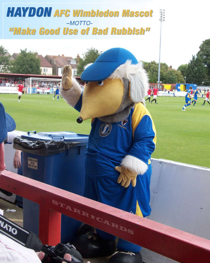 Haydon: Lovable Womble and AFC Wimbledon mascot