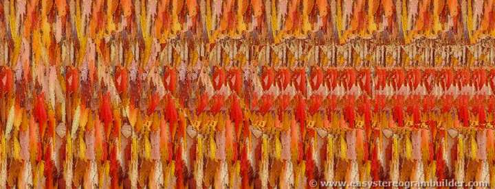 John Daly wild pants pattern