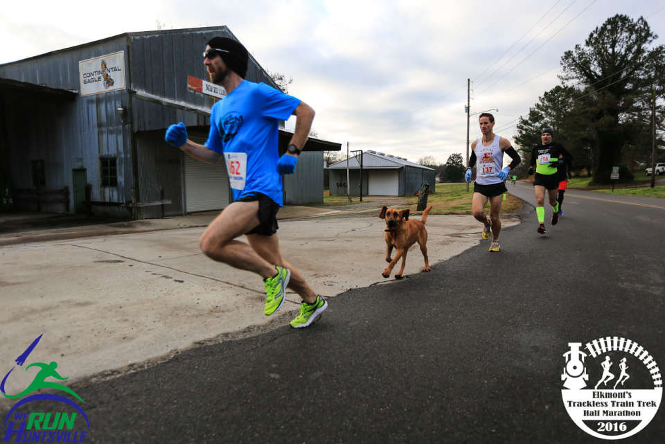 Ludivine runs 2016 Elkmont Trackless Train Trek Half Marathon