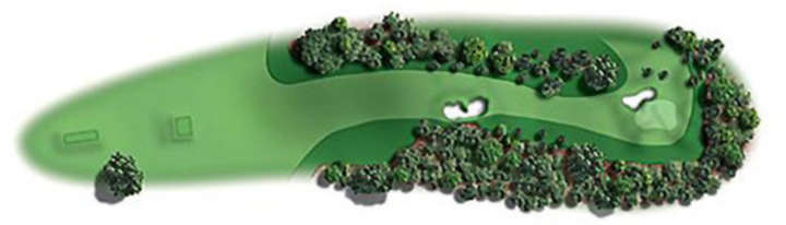 Masters at Augusta Hole No. 1 - Tea Olive