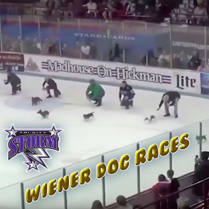 Tri-City Storm hockey team sponsors a wiener dog race on ice